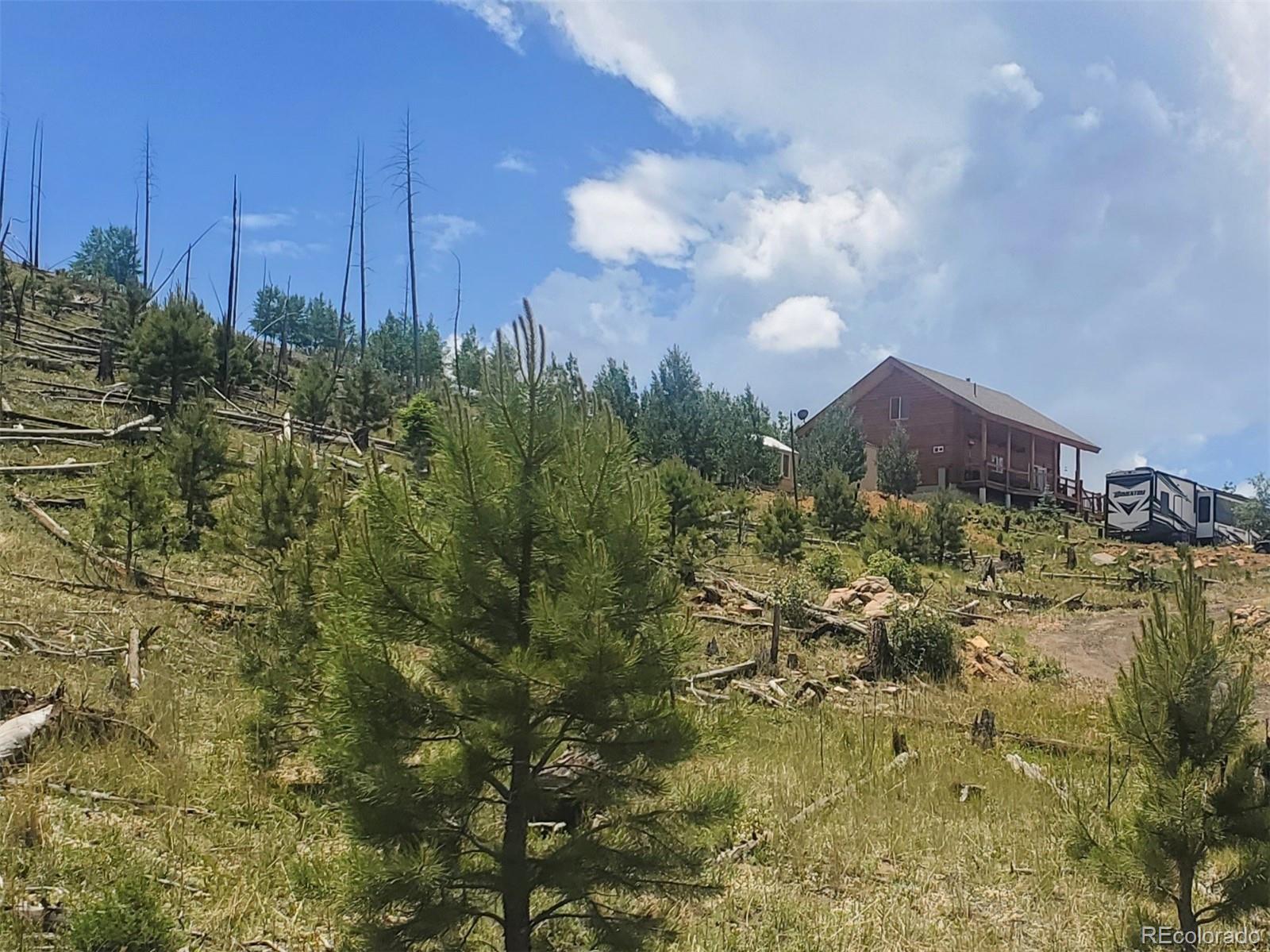 MLS Image #2 for 14077 s state highway 67 ,woodland park, Colorado