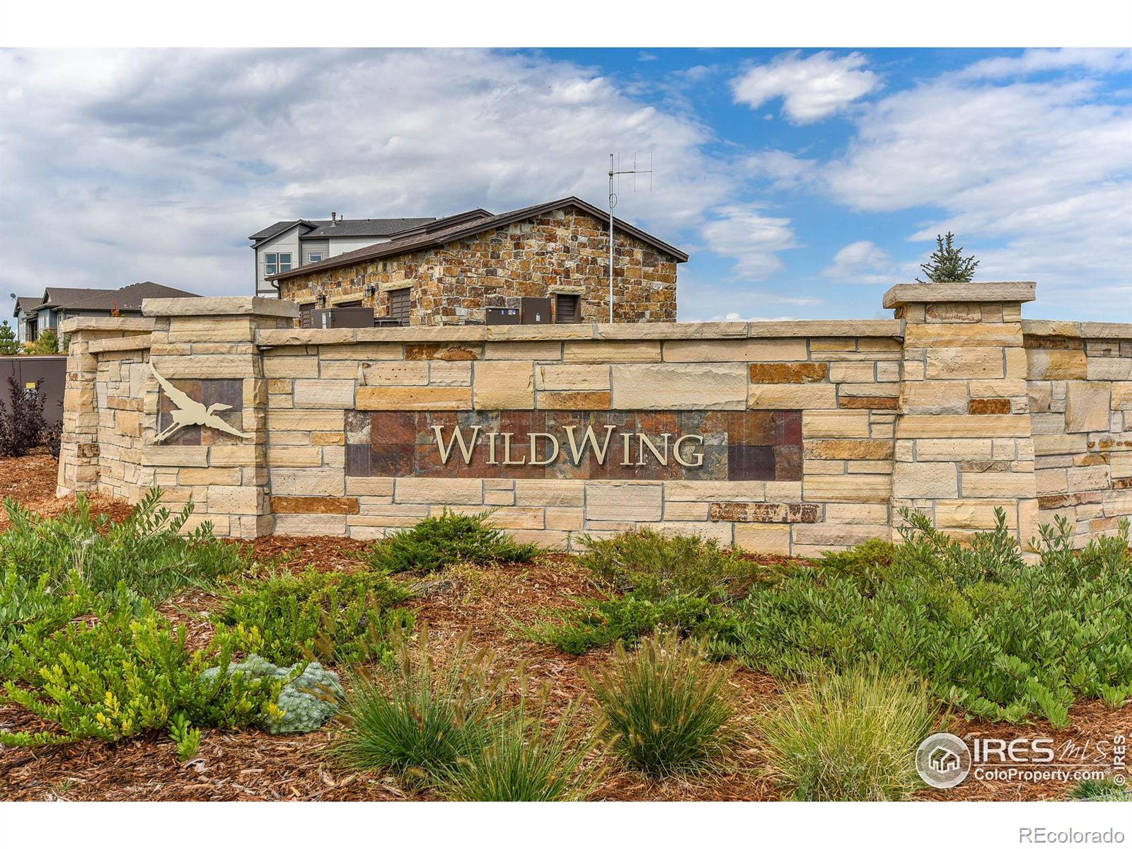 MLS Image #31 for 6928  summerwind court,timnath, Colorado