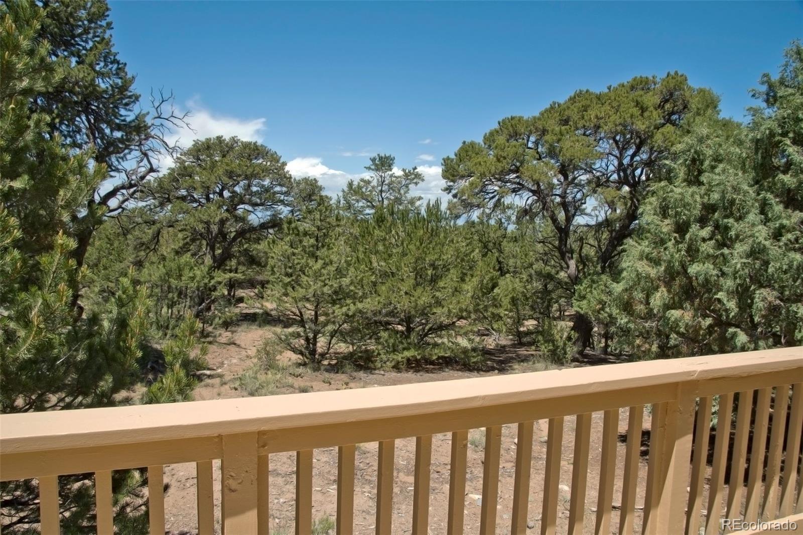 MLS Image #11 for 3205  camino del rey ,crestone, Colorado