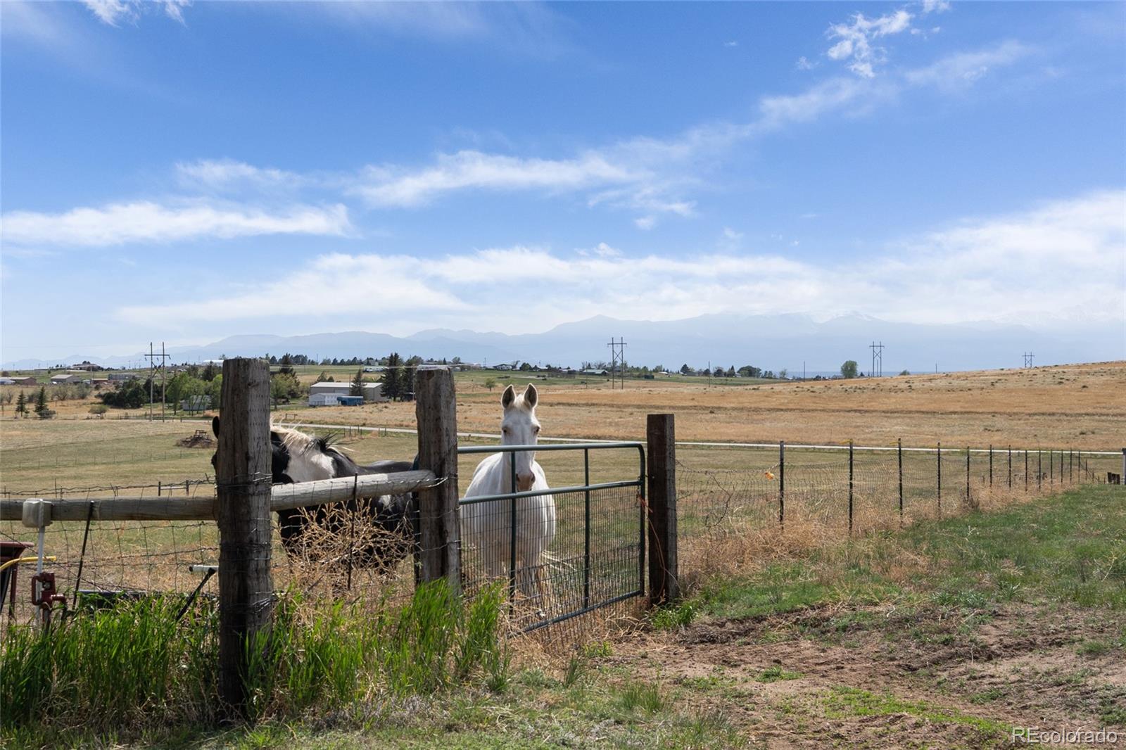 MLS Image #49 for 4005 e blaney road,peyton, Colorado