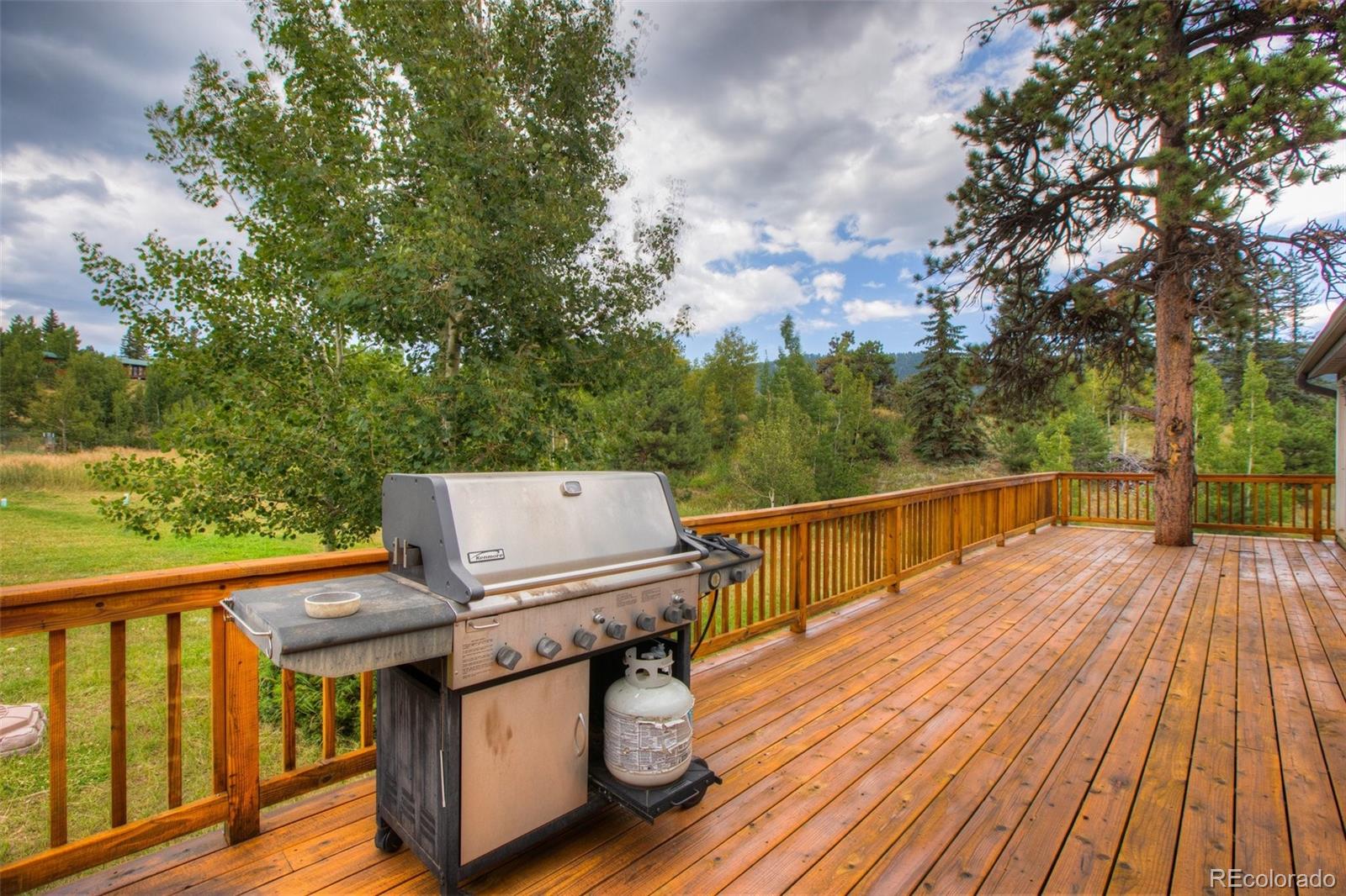 MLS Image #4 for 1251  loop drive,woodland park, Colorado