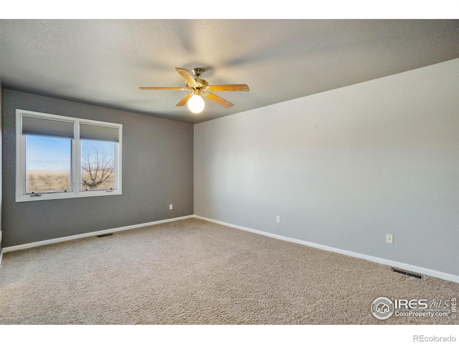 MLS Image #27 for 8952  gander valley lane,windsor, Colorado