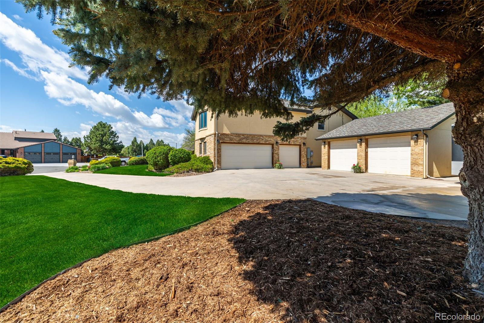 MLS Image #4 for 10037  allison court,broomfield, Colorado