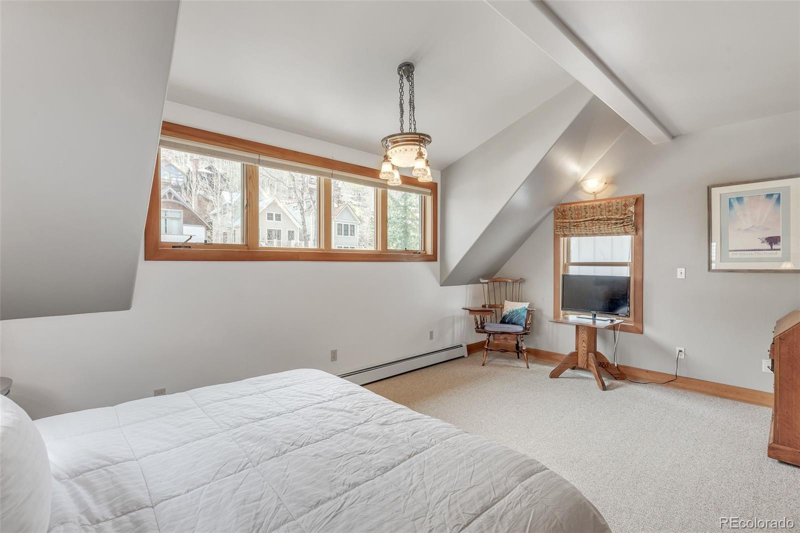 MLS Image #18 for 518 e columbia avenue,telluride, Colorado