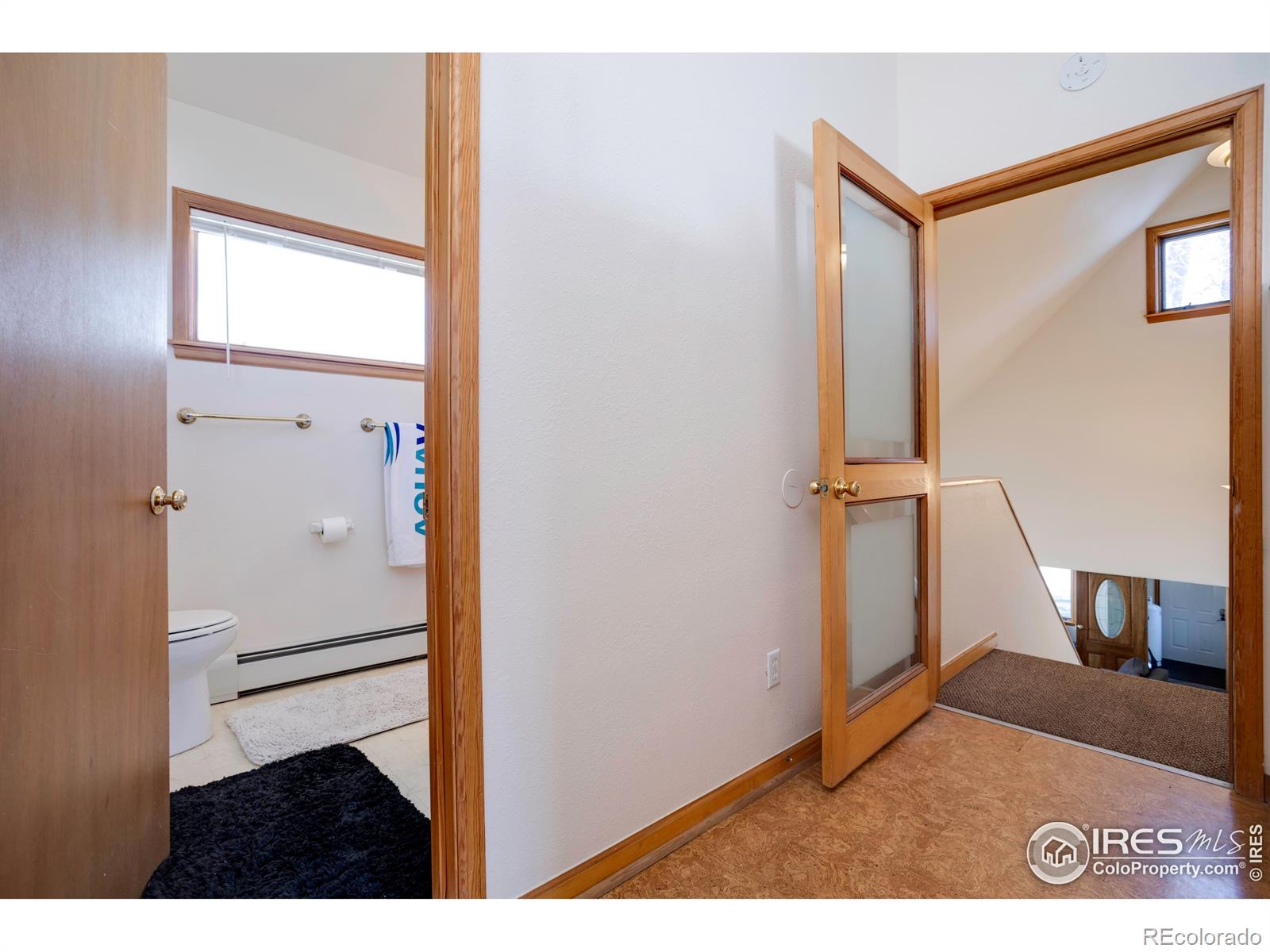 MLS Image #16 for 729  pine street,steamboat springs, Colorado