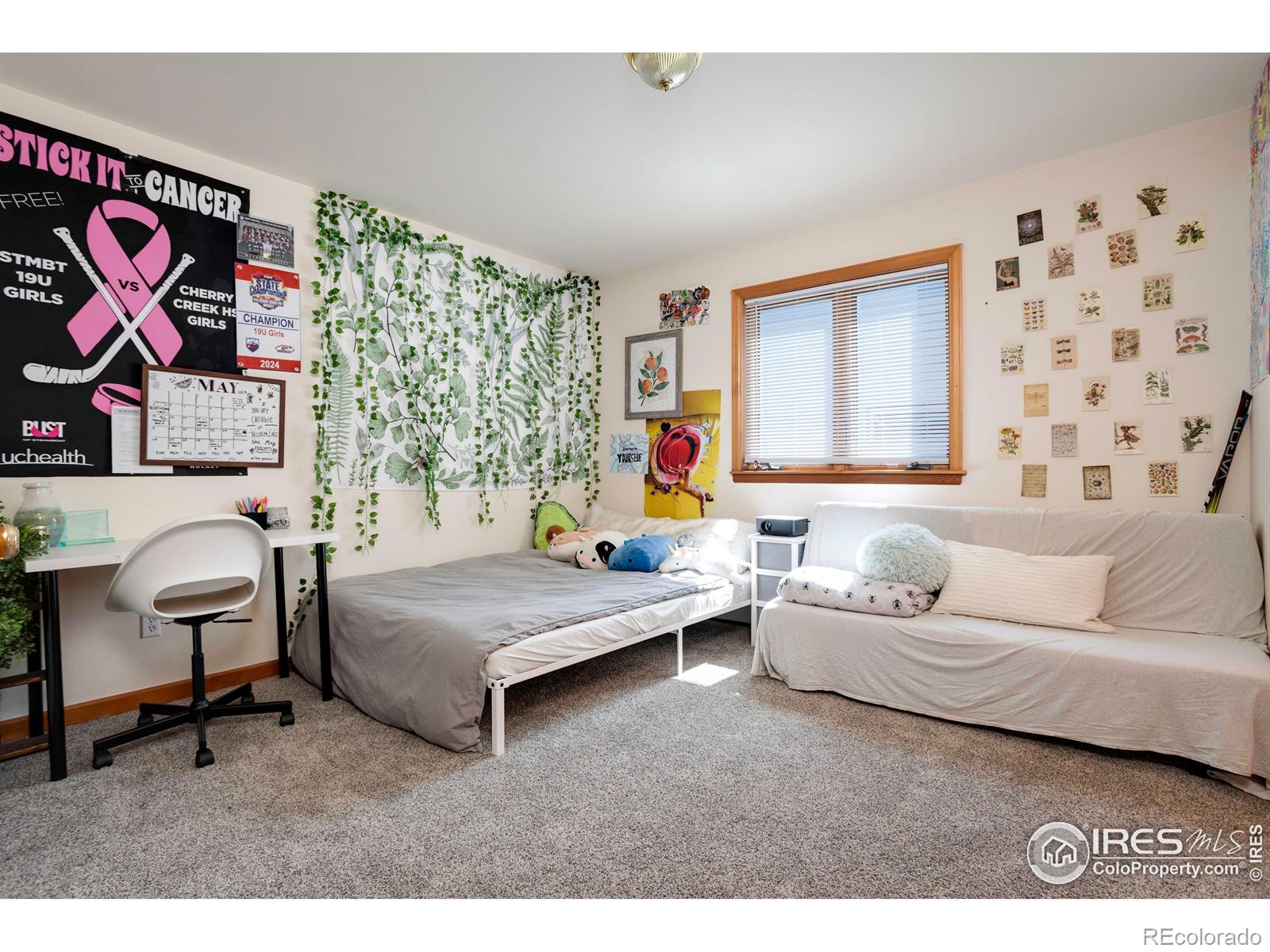 MLS Image #21 for 729  pine street,steamboat springs, Colorado