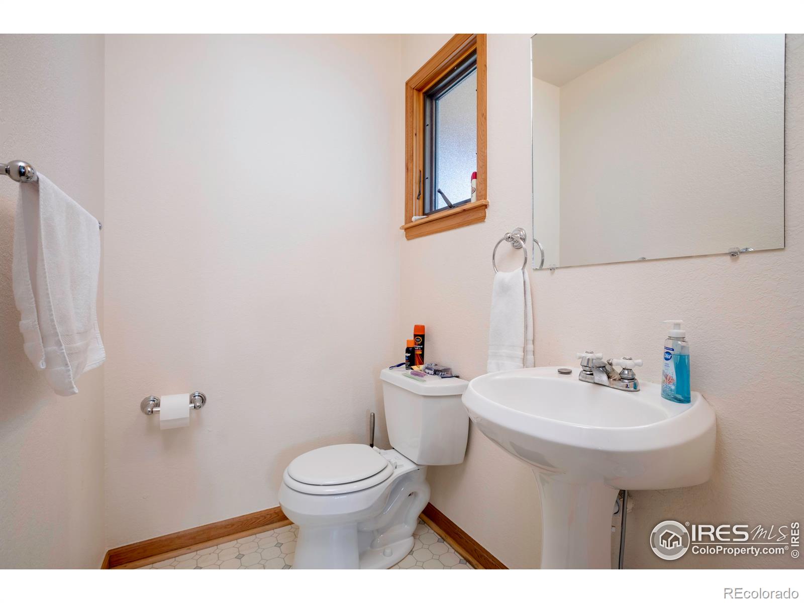 MLS Image #23 for 729  pine street,steamboat springs, Colorado