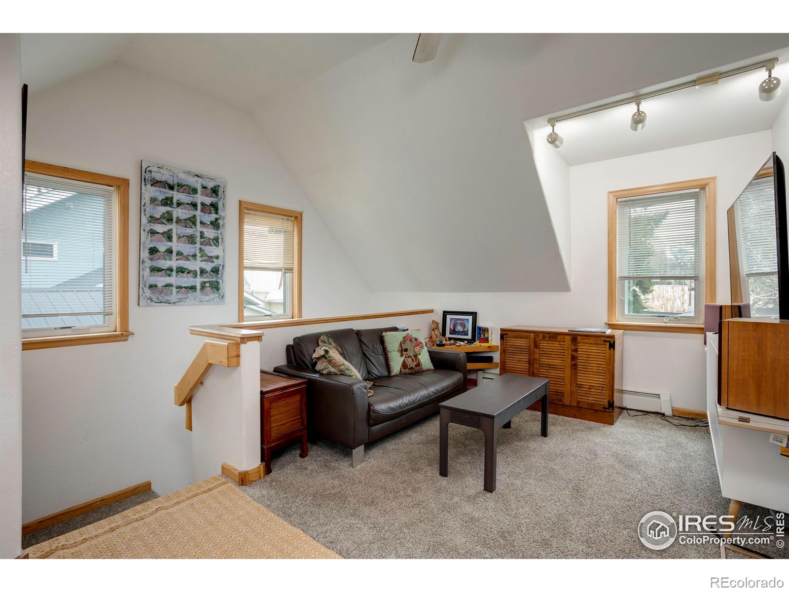 MLS Image #33 for 729  pine street,steamboat springs, Colorado