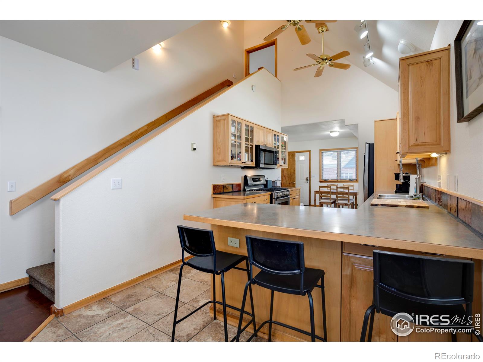 MLS Image #6 for 729  pine street,steamboat springs, Colorado