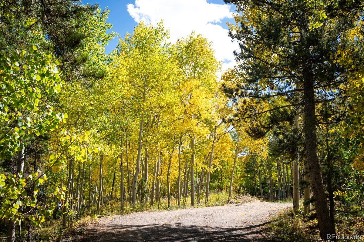 MLS Image #31 for 1226  highpoint circle,black hawk, Colorado