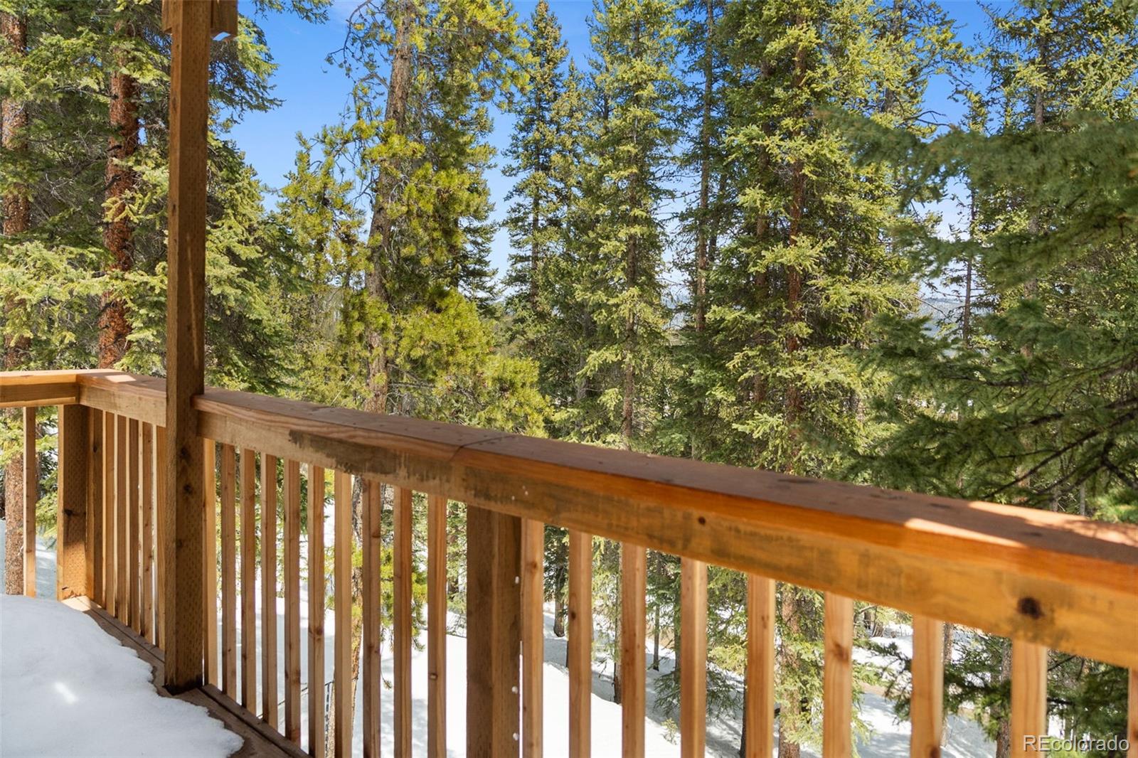 MLS Image #4 for 2018  valley of the sun drive,fairplay, Colorado
