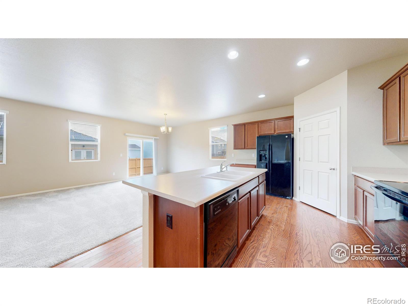 MLS Image #2 for 3690  torch lily street,wellington, Colorado