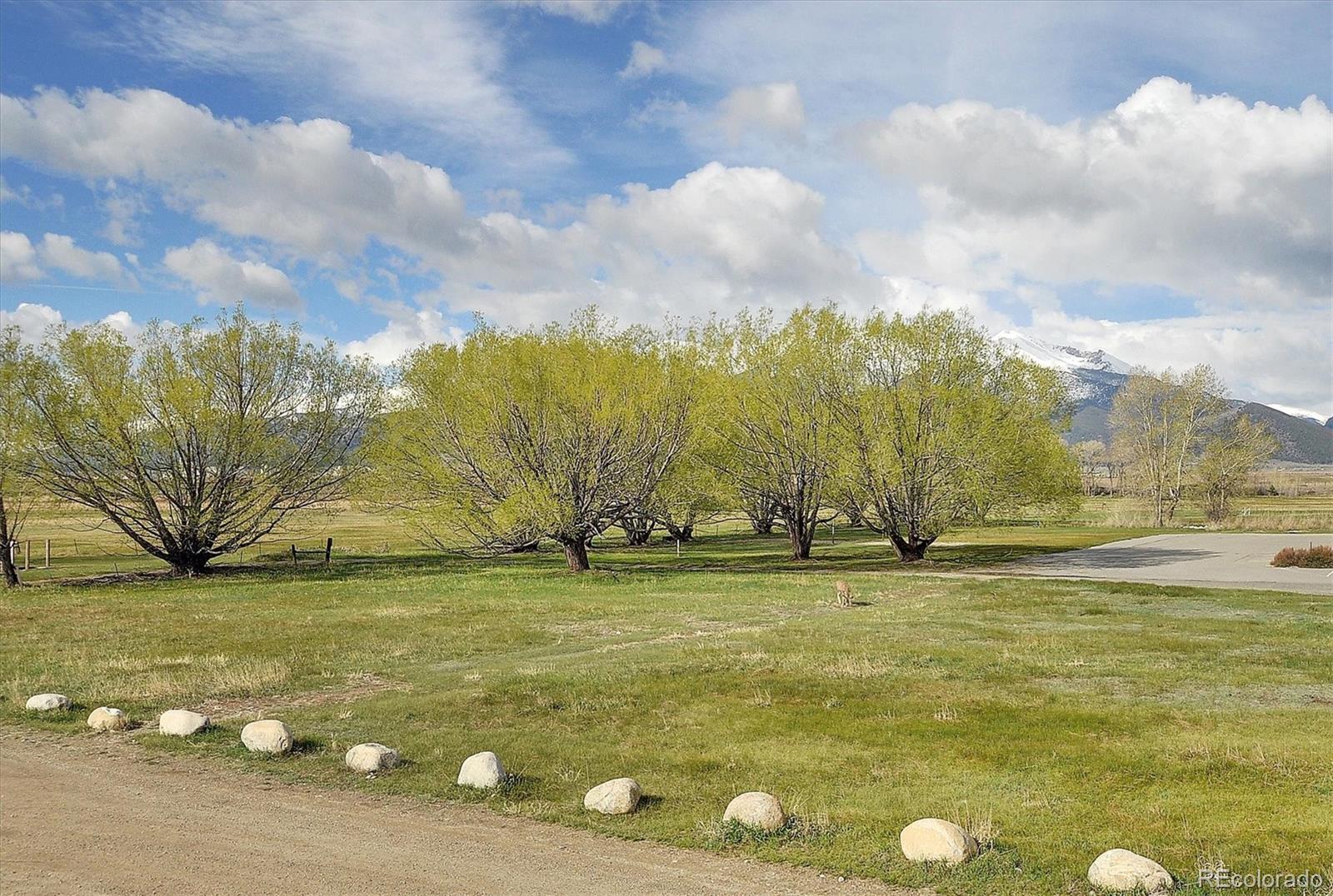 MLS Image #47 for 656 s gunnison avenue,buena vista, Colorado