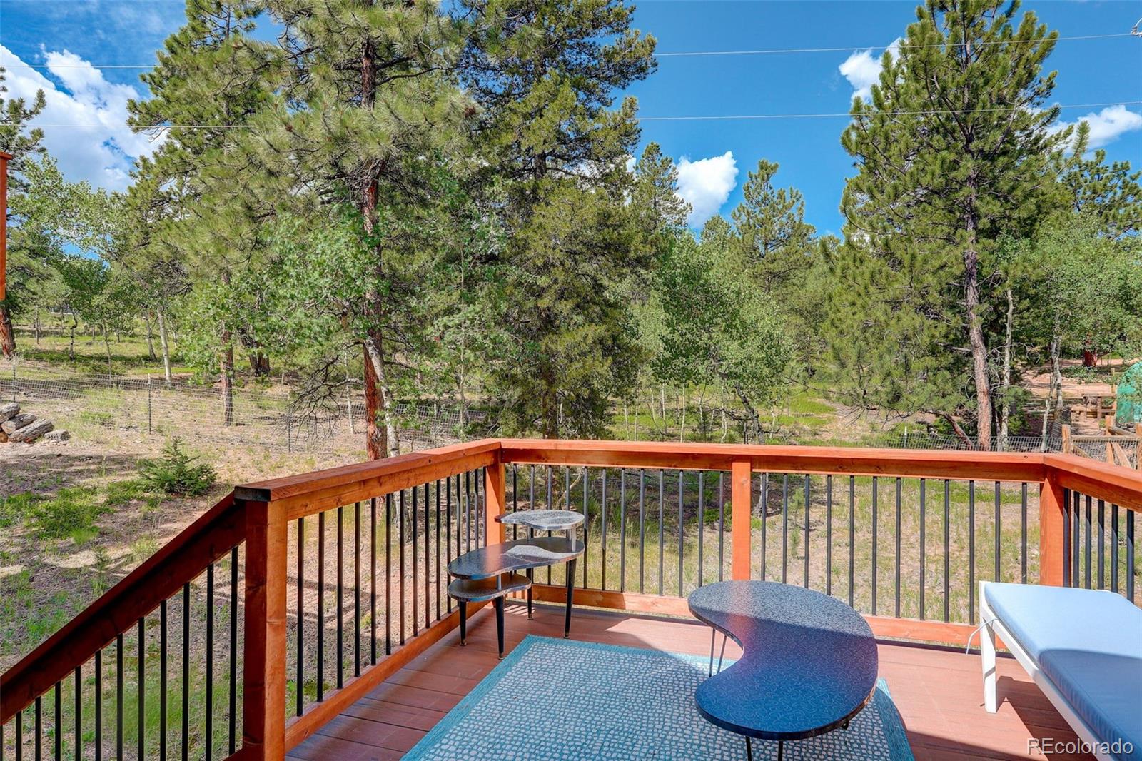 MLS Image #20 for 77 e crosscut ,bailey, Colorado