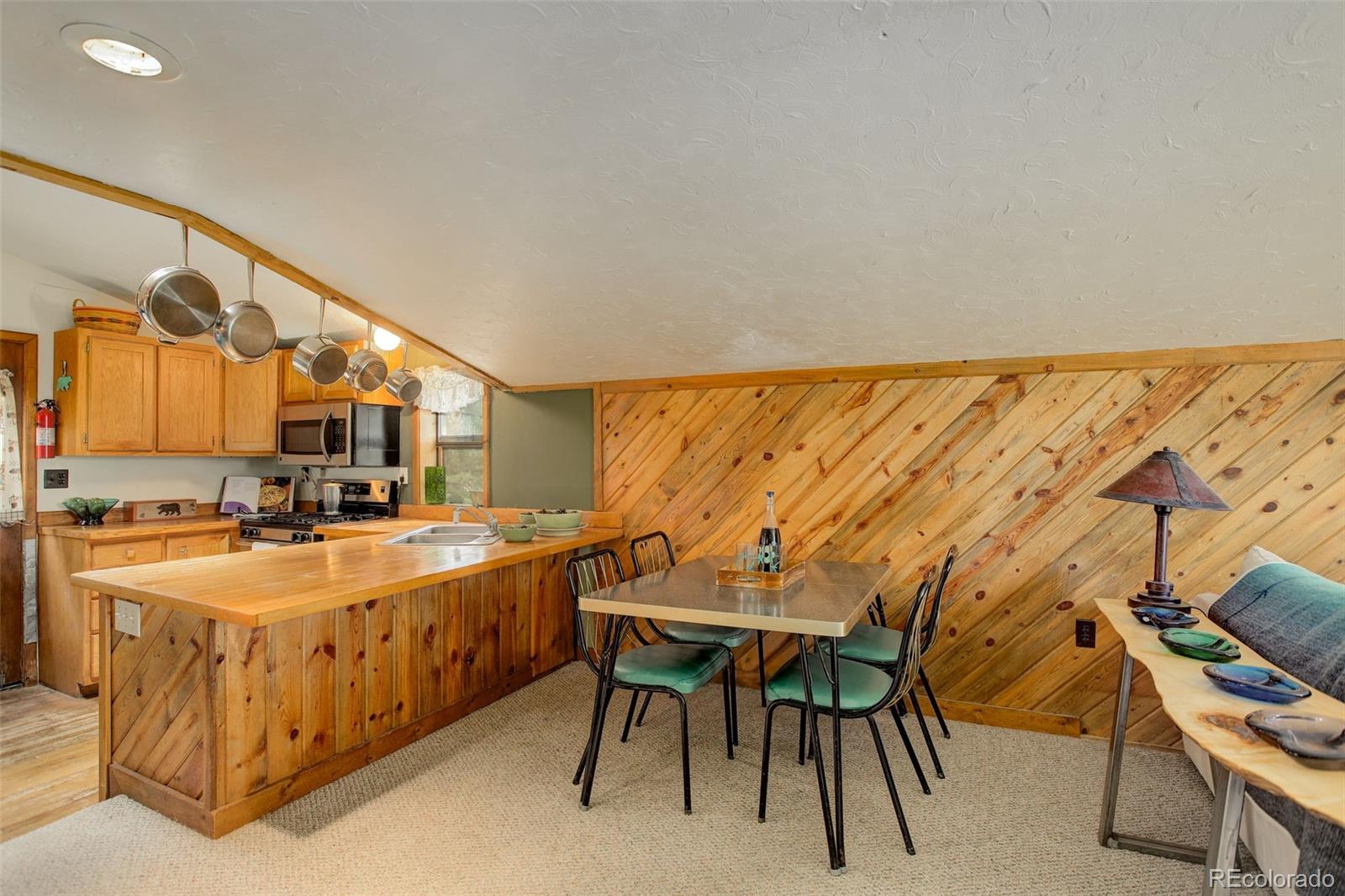 MLS Image #21 for 77 e crosscut ,bailey, Colorado