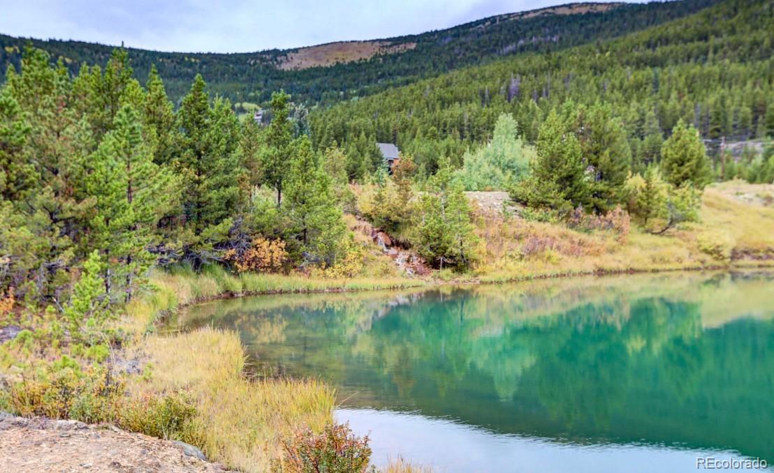 MLS Image #24 for 499  silver creek road,idaho springs, Colorado