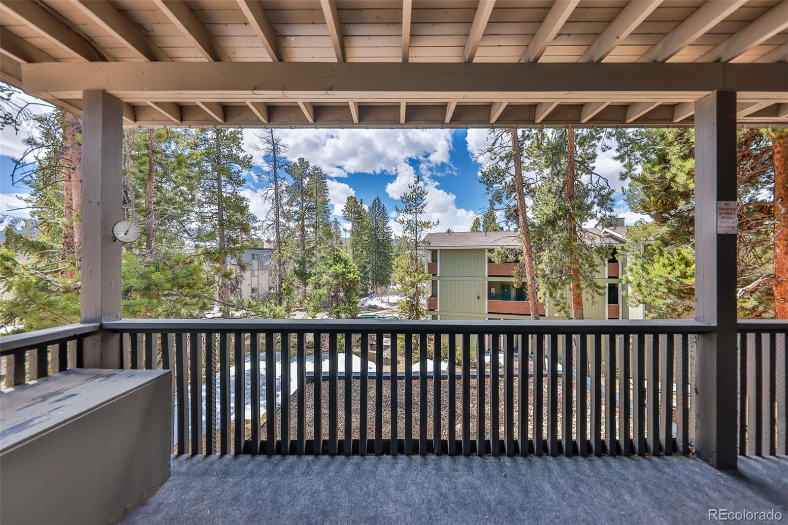 MLS Image #17 for 471  hi country drive,winter park, Colorado