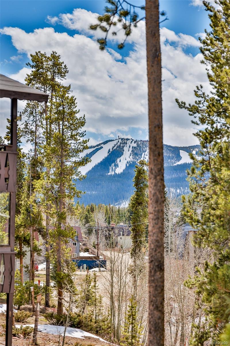 MLS Image #20 for 471  hi country drive,winter park, Colorado