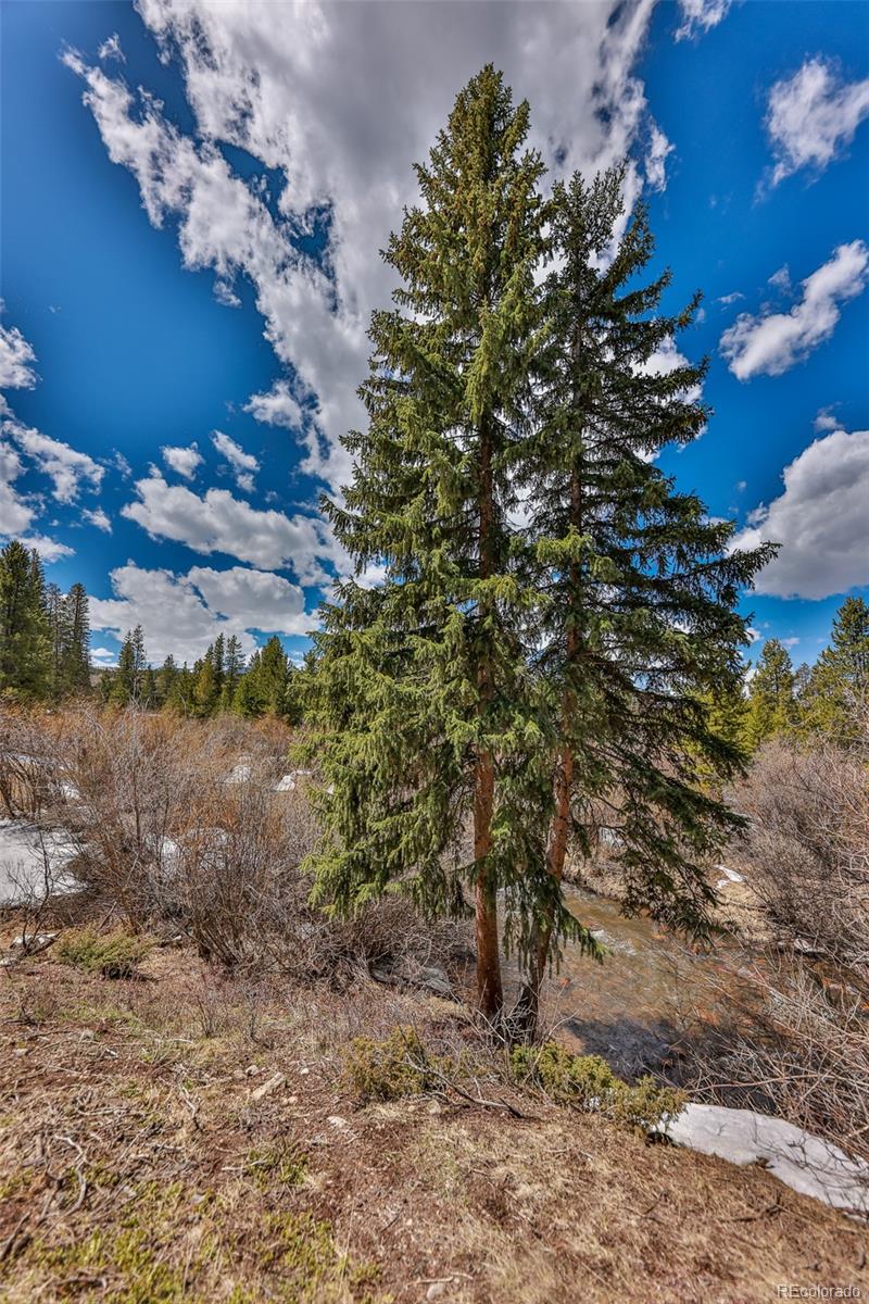 MLS Image #24 for 471  hi country drive,winter park, Colorado