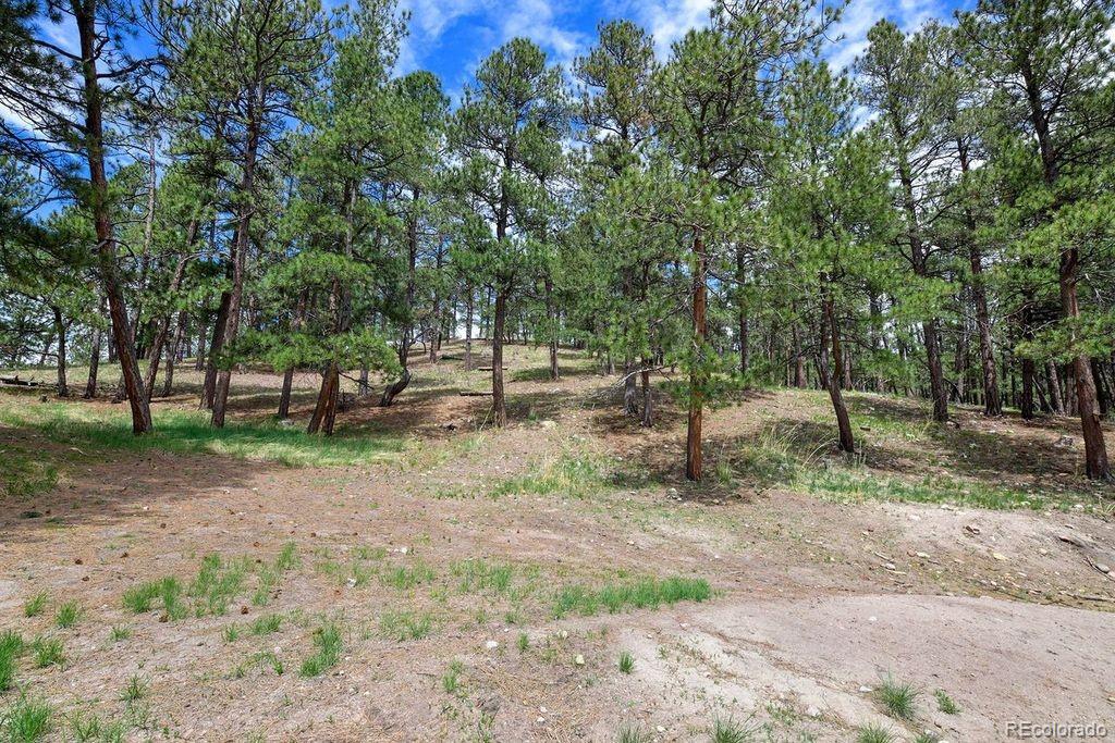 MLS Image #4 for 21873  cougar court,elbert, Colorado