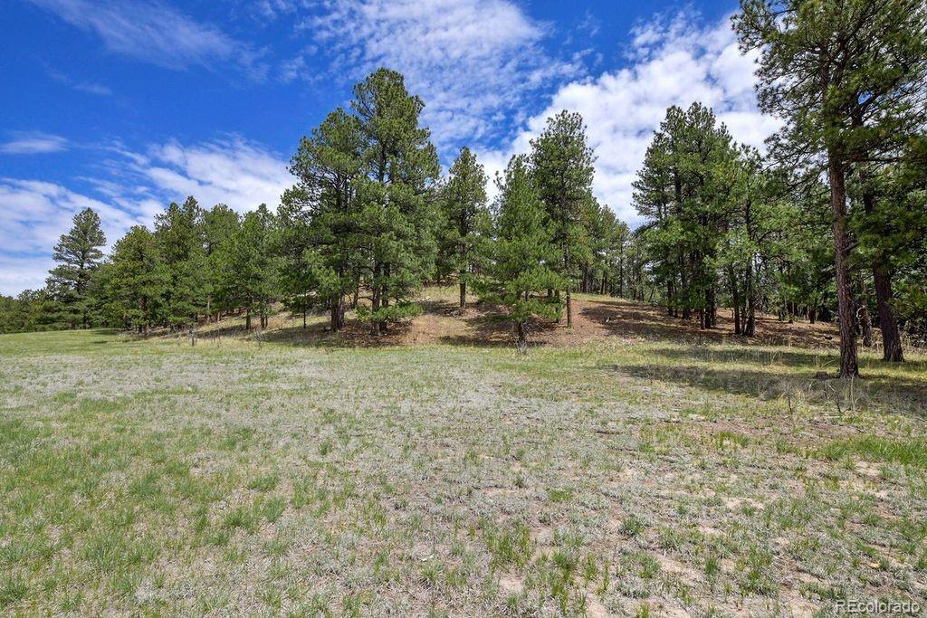 MLS Image #5 for 21873  cougar court,elbert, Colorado