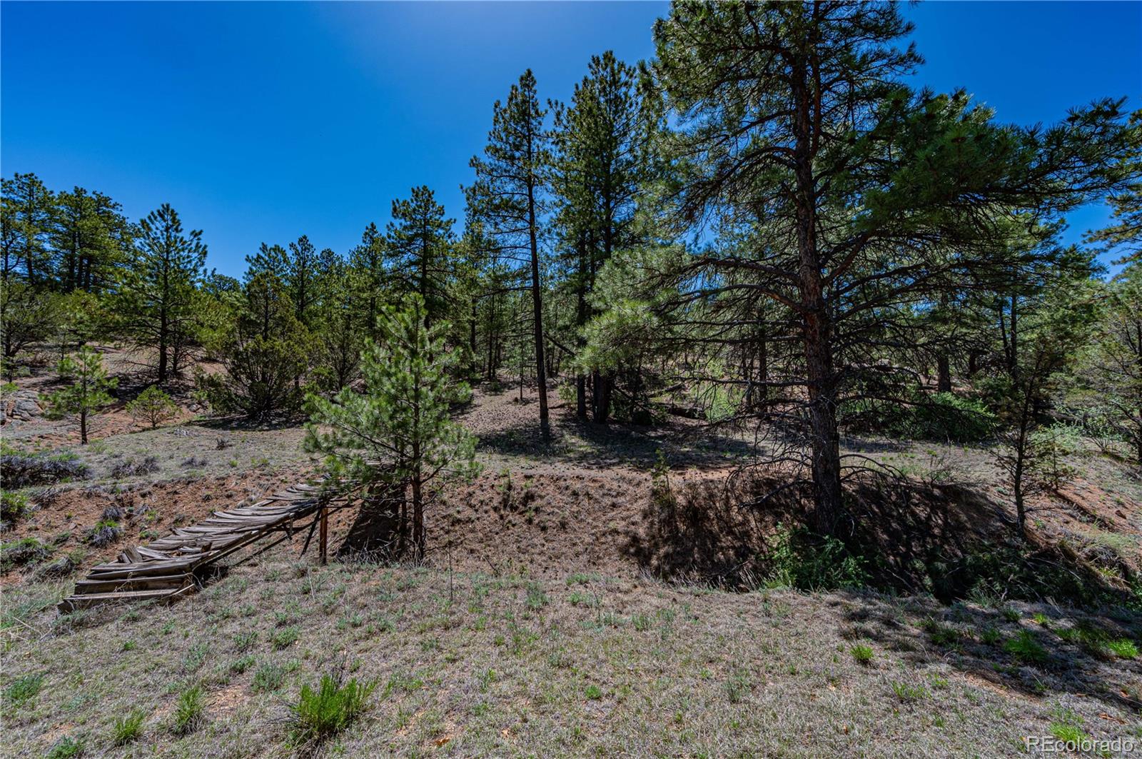 MLS Image #42 for 78  cheyenne court,cotopaxi, Colorado