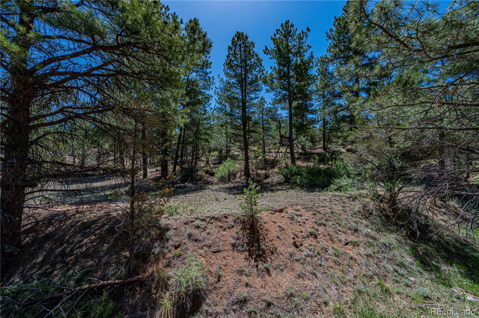 MLS Image #43 for 78  cheyenne court,cotopaxi, Colorado