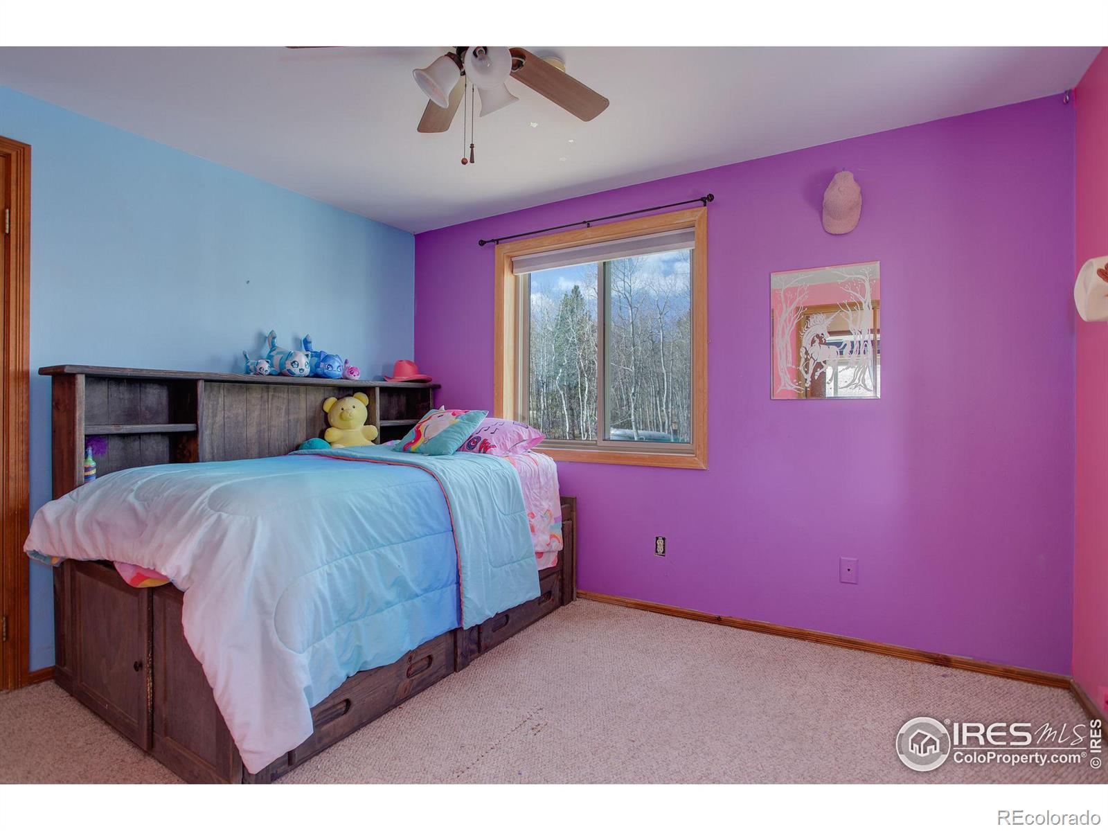 MLS Image #23 for 1136  highpoint circle,black hawk, Colorado