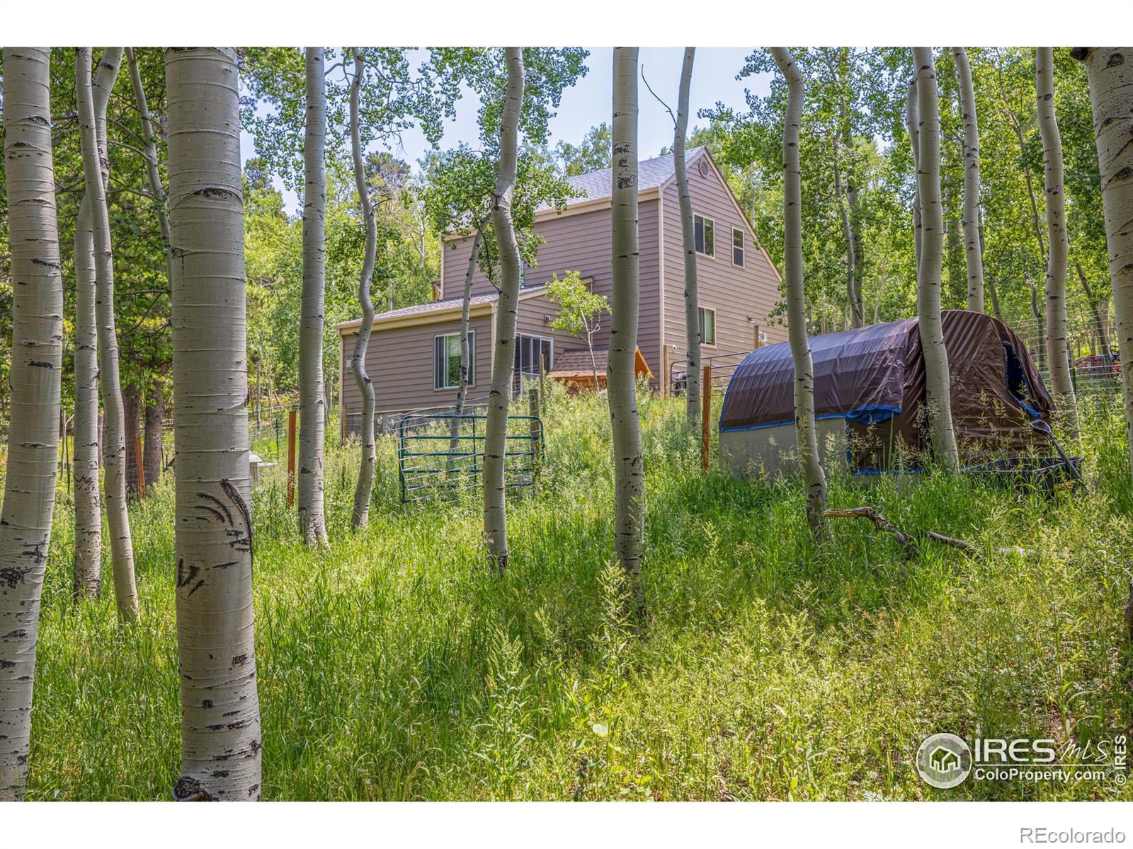 MLS Image #30 for 1136  highpoint circle,black hawk, Colorado