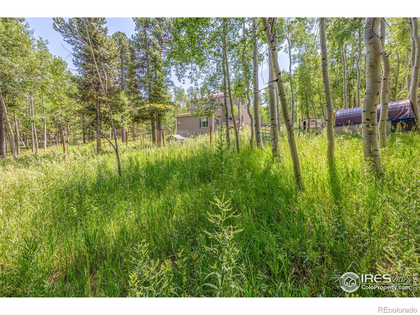 MLS Image #32 for 1136  highpoint circle,black hawk, Colorado