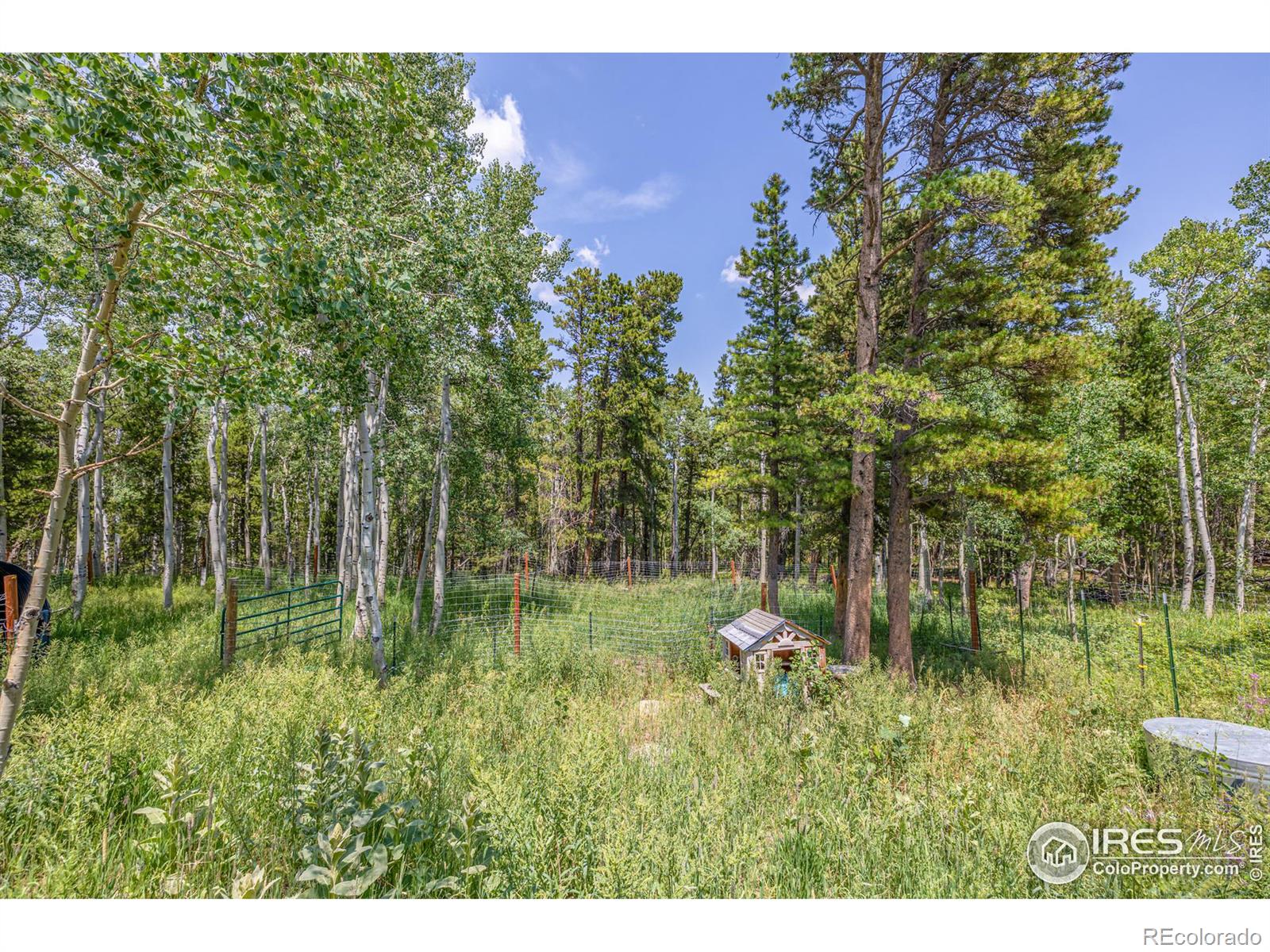 MLS Image #33 for 1136  highpoint circle,black hawk, Colorado