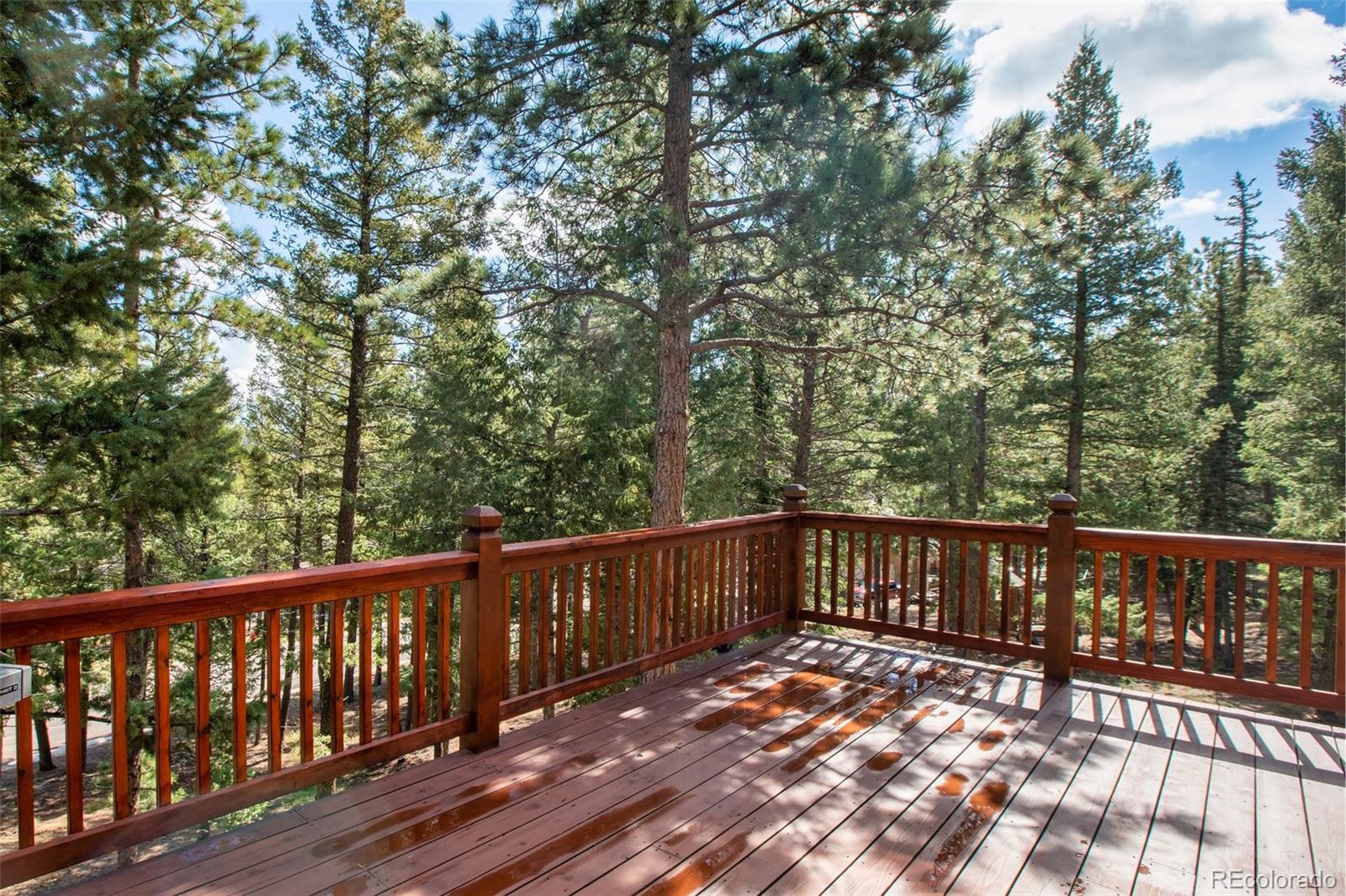 MLS Image #37 for 1310  spruce ridge lane,woodland park, Colorado