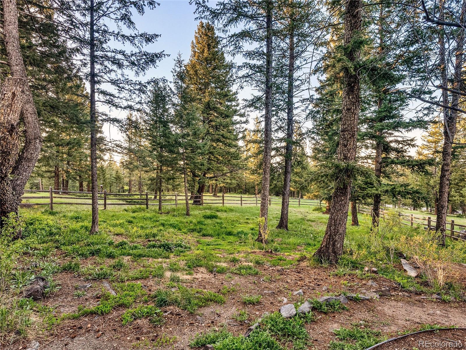 MLS Image #9 for 32940  woodland drive,evergreen, Colorado