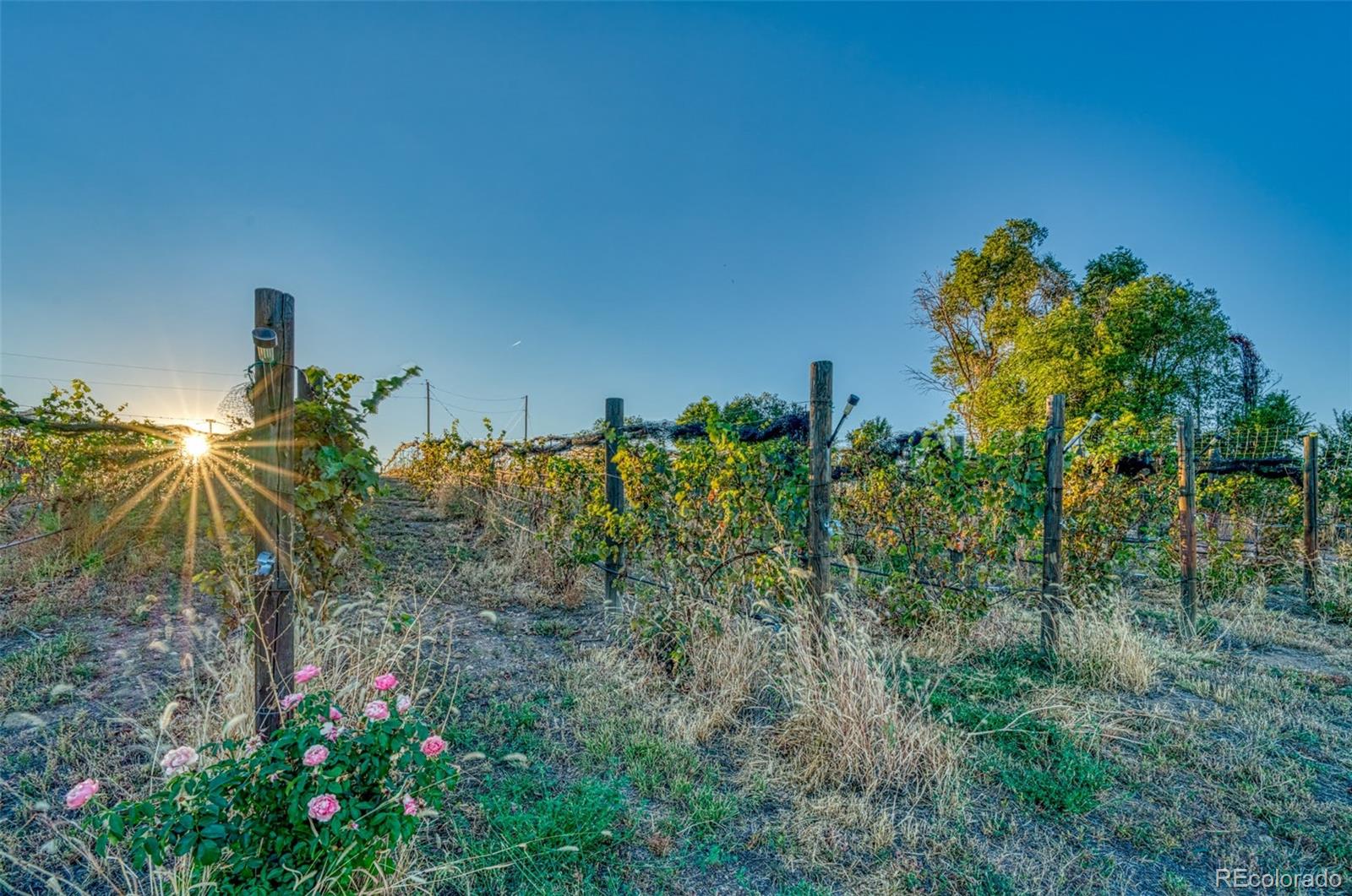 MLS Image #22 for 1704  willow street,canon city, Colorado