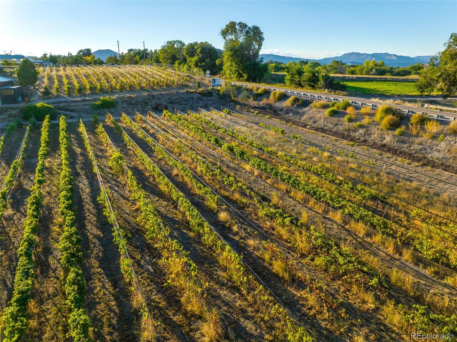 MLS Image #9 for 1704  willow street,canon city, Colorado