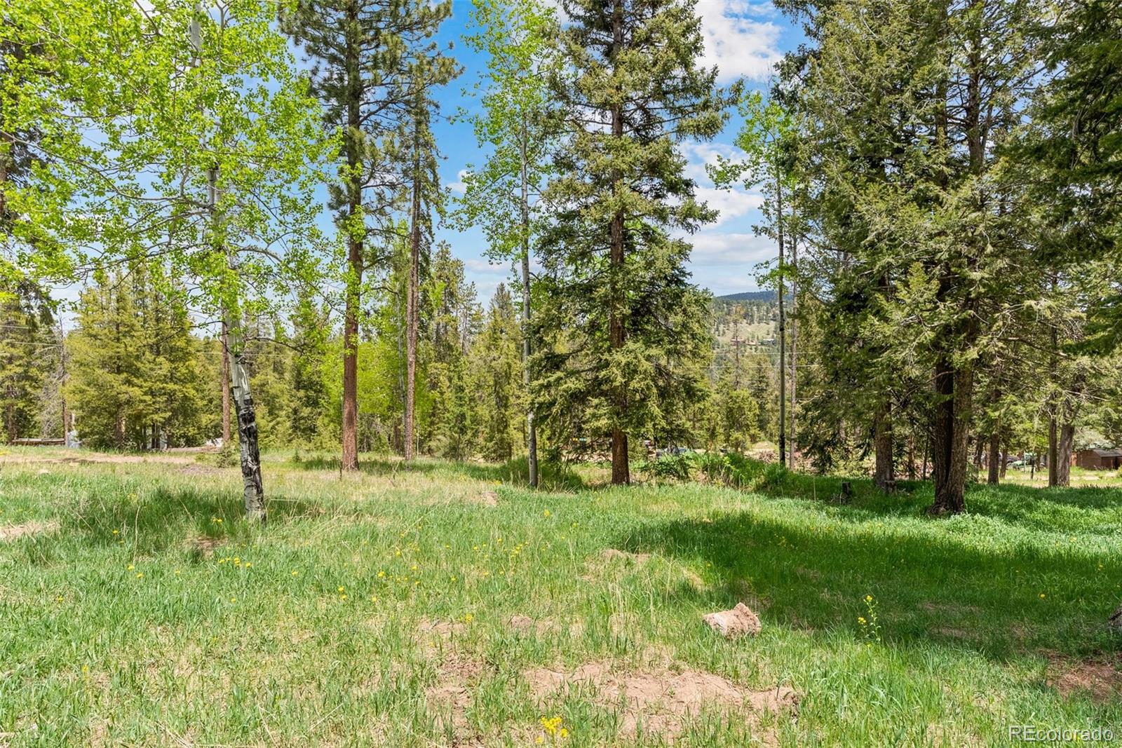 MLS Image #25 for 27677  pine grove trail,conifer, Colorado