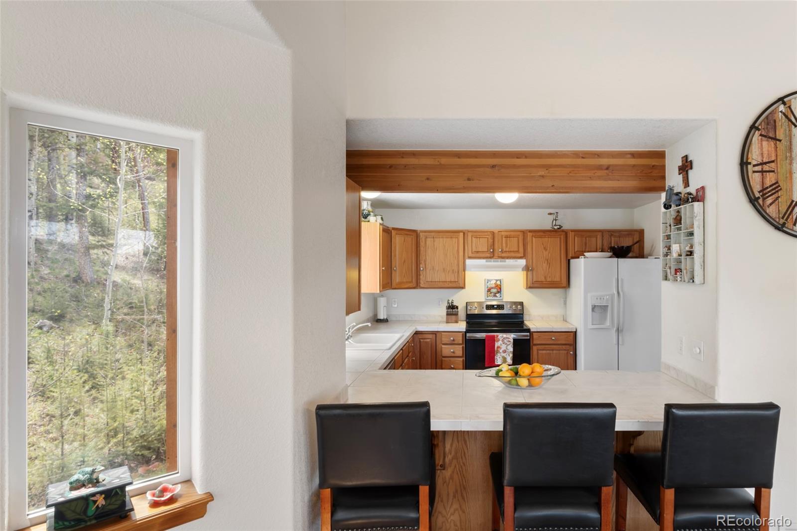 MLS Image #13 for 10488  sunlight lane,conifer, Colorado