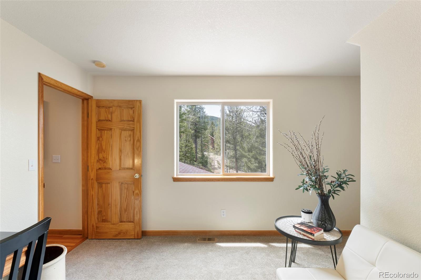 MLS Image #21 for 10488  sunlight lane,conifer, Colorado