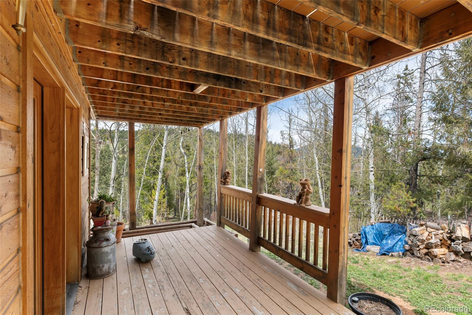 MLS Image #38 for 10488  sunlight lane,conifer, Colorado