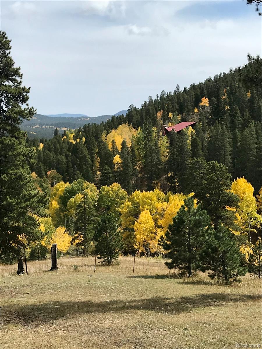 MLS Image #42 for 637  rock road,bailey, Colorado