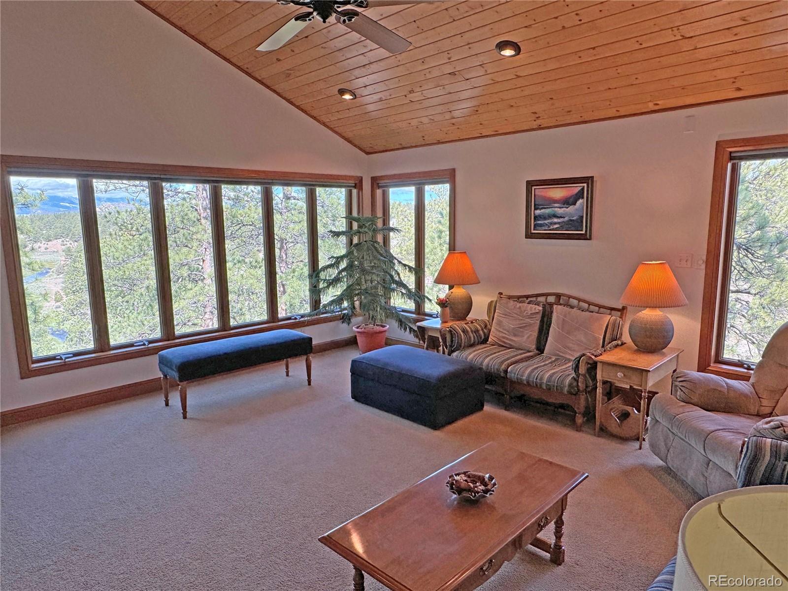 MLS Image #6 for 1360  quanah road,westcliffe, Colorado