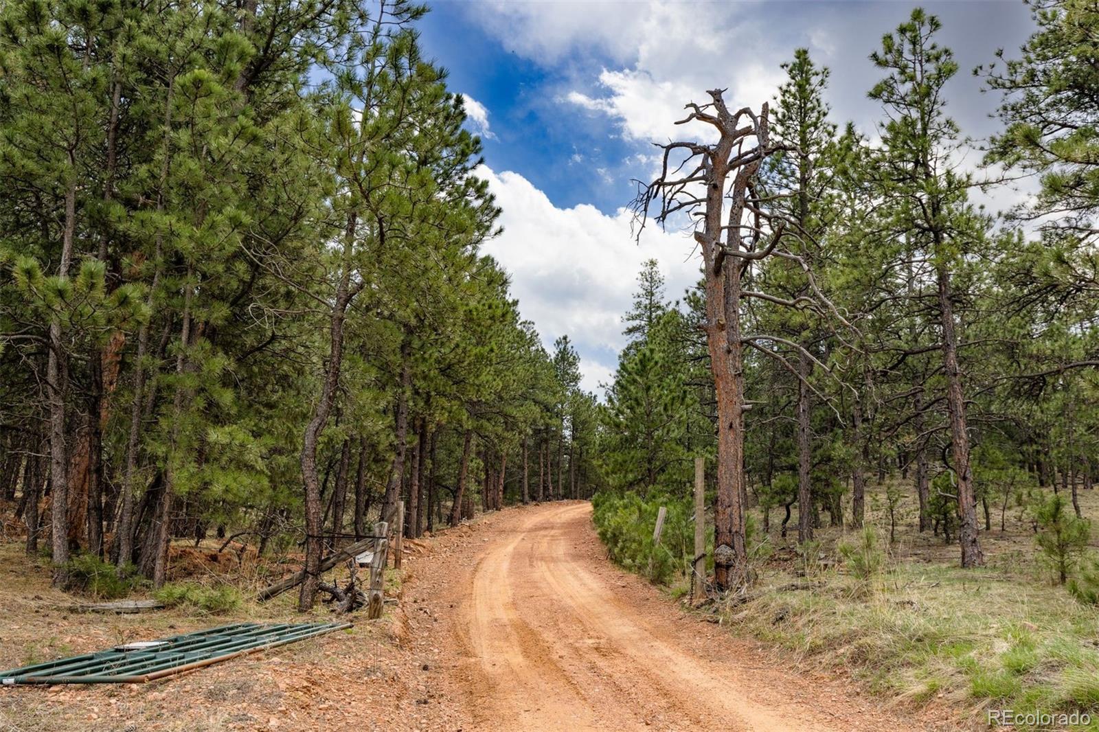 MLS Image #4 for 1312  steamboat valley road,lyons, Colorado