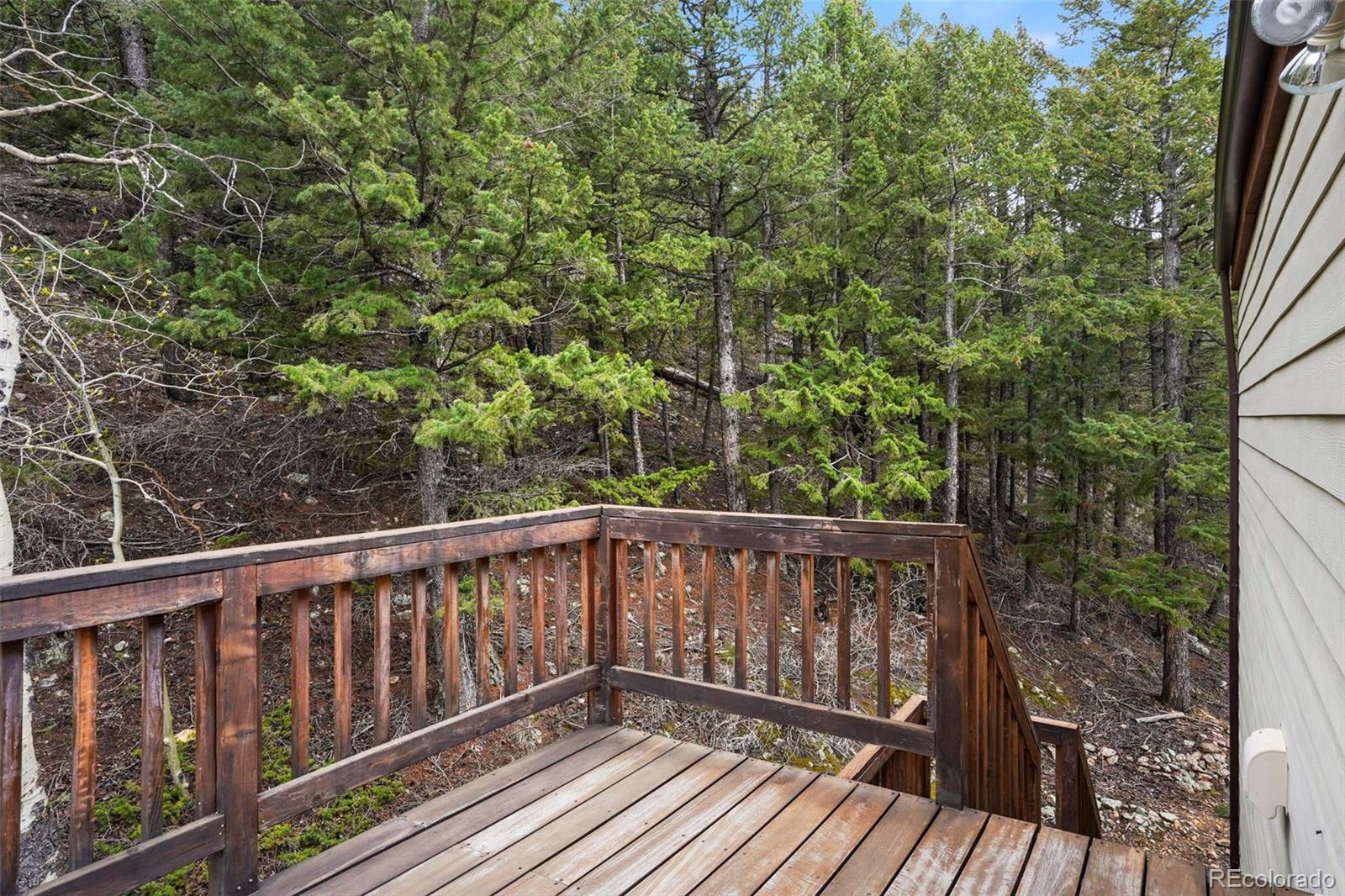 MLS Image #26 for 280  silver wolf lane,evergreen, Colorado