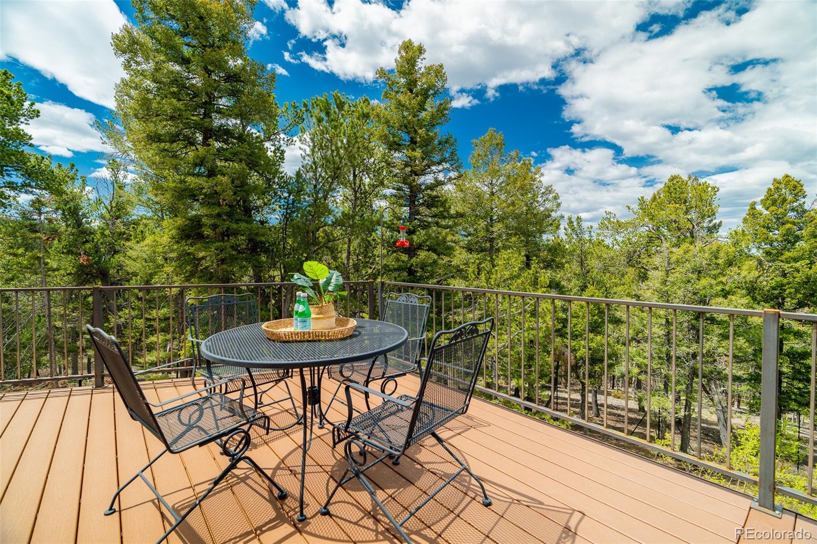 MLS Image #24 for 2755  elk ridge south ,divide, Colorado