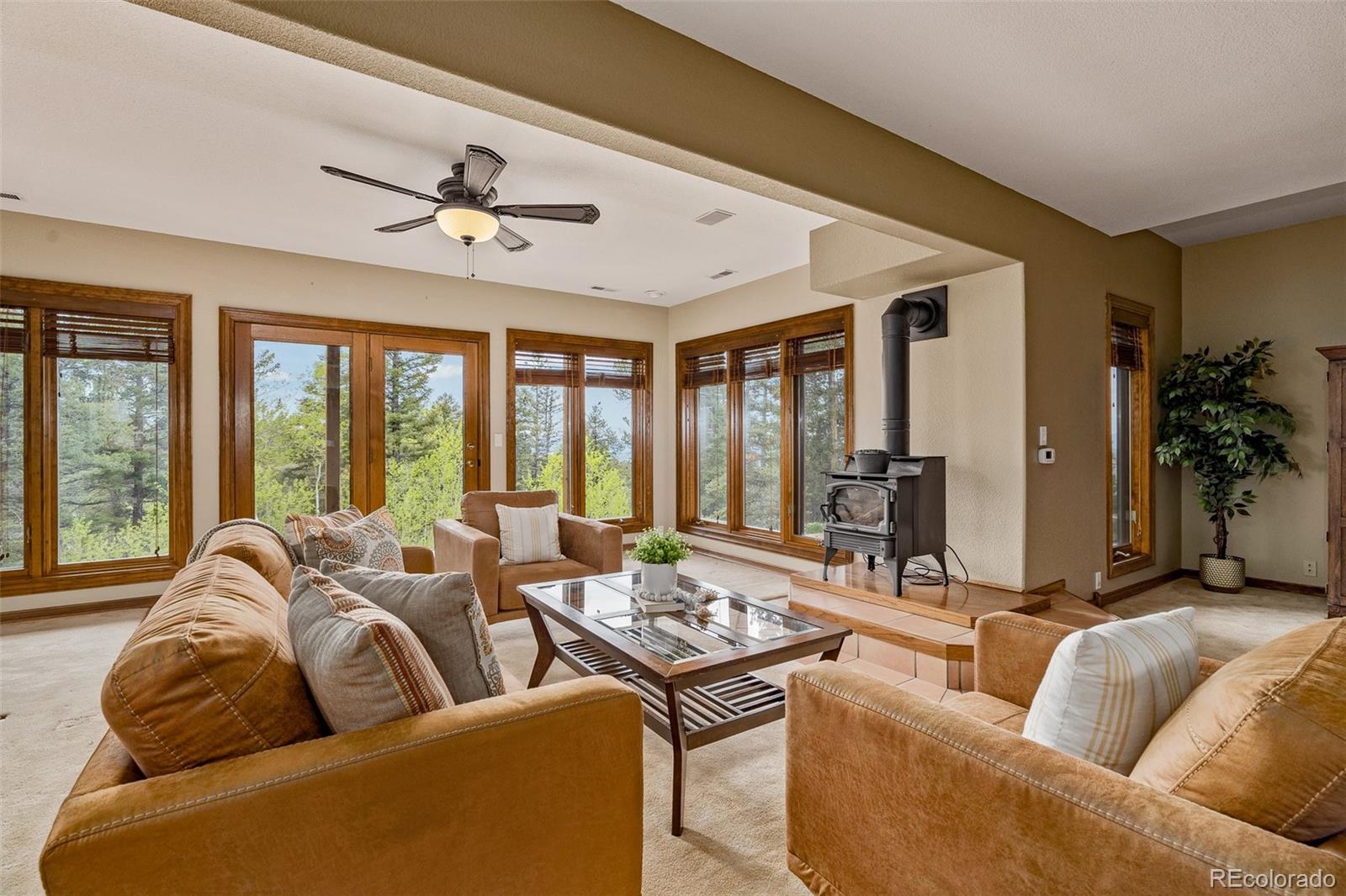 MLS Image #28 for 2755  elk ridge south ,divide, Colorado