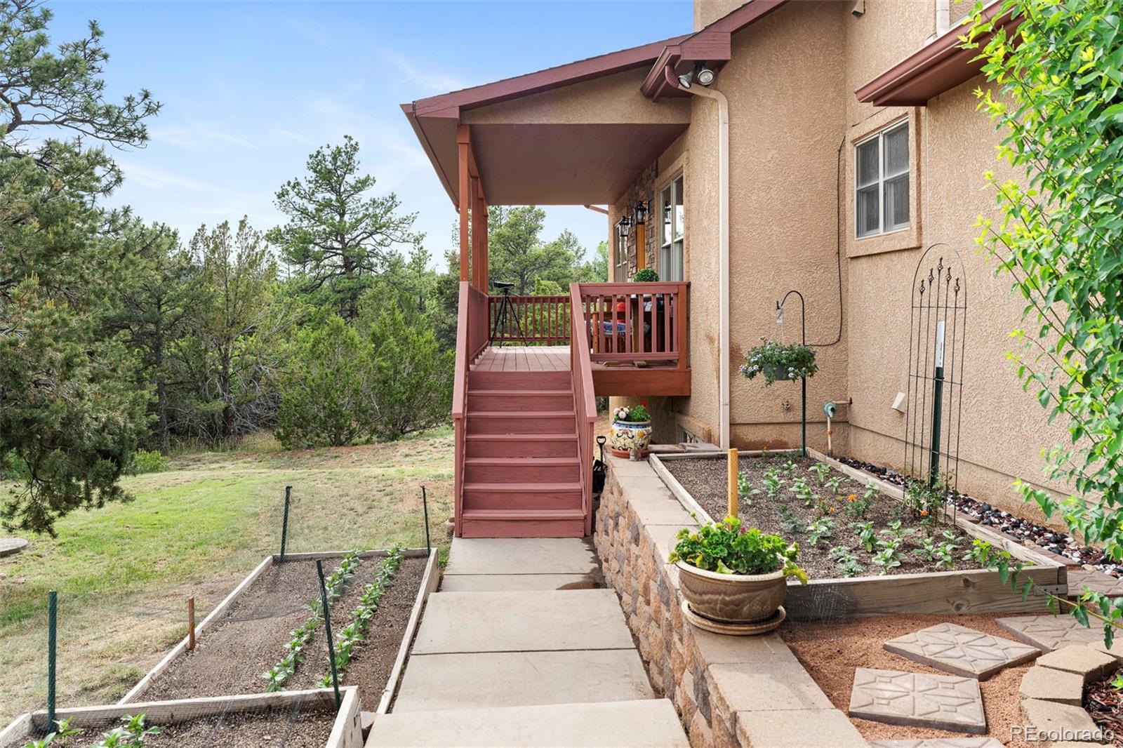 MLS Image #5 for 5660  sandy creek heights,colorado springs, Colorado