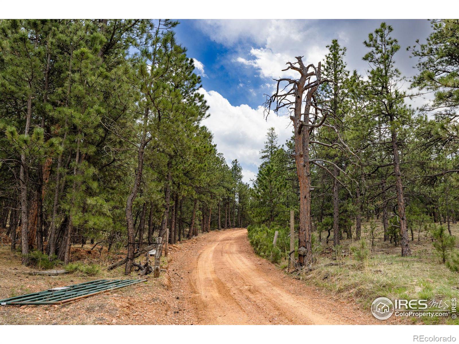 MLS Image #4 for 1312  steamboat valley road,lyons, Colorado