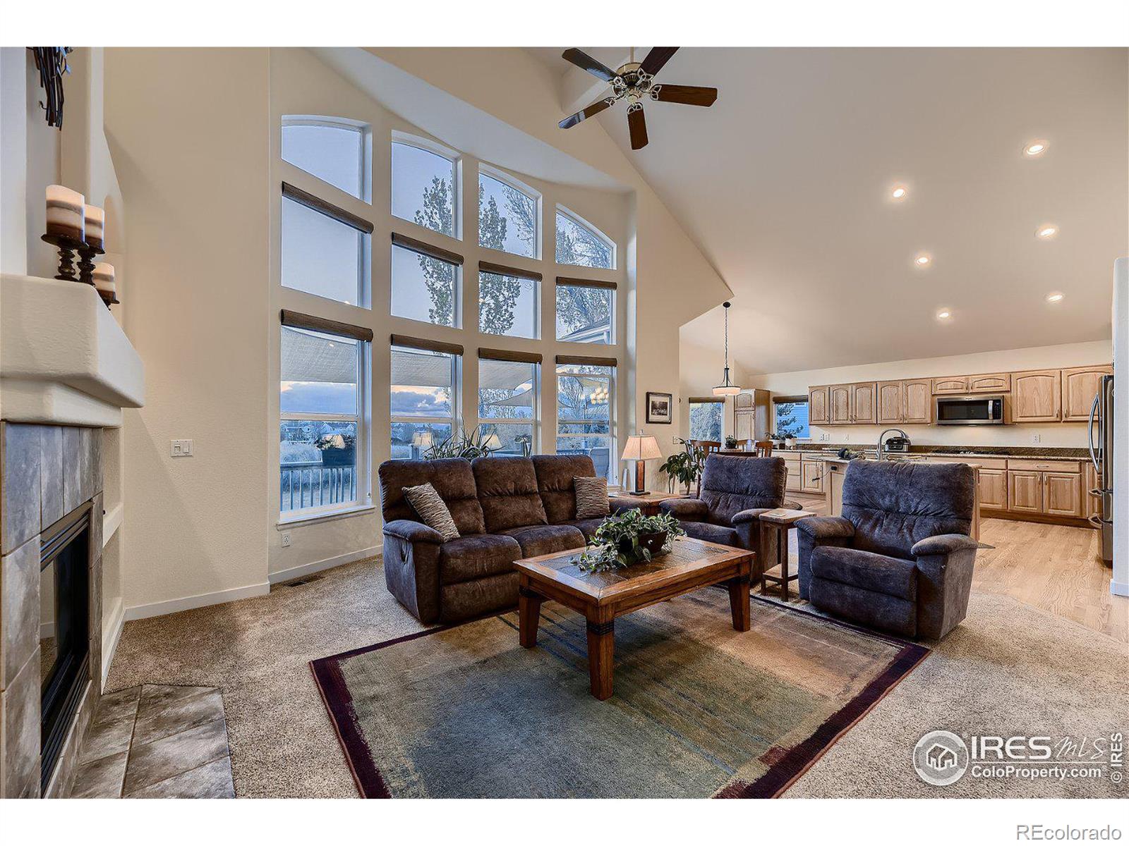 MLS Image #17 for 10821  willow reed circle,parker, Colorado