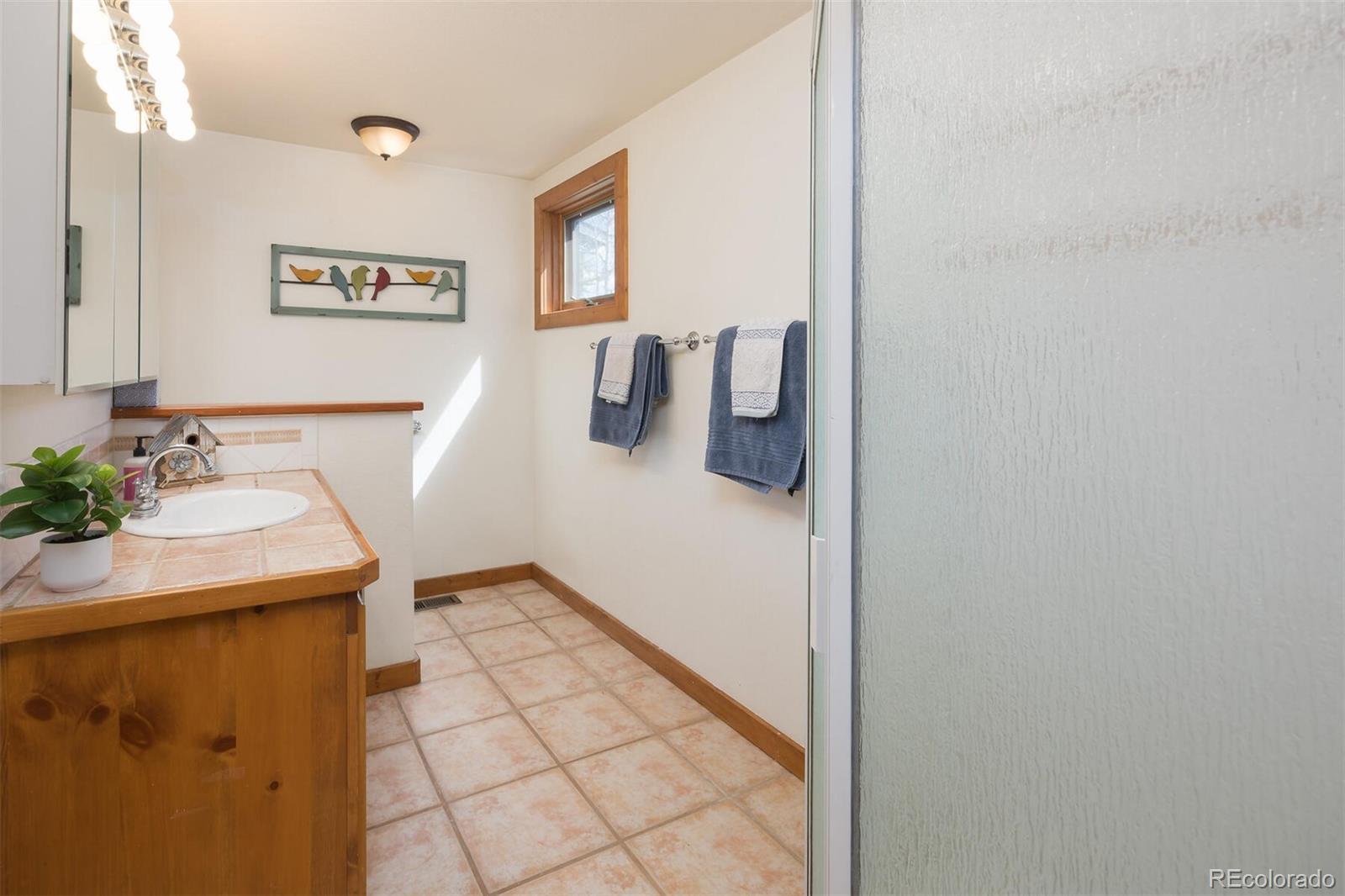 MLS Image #13 for 311 s 3rd avenue,frisco, Colorado