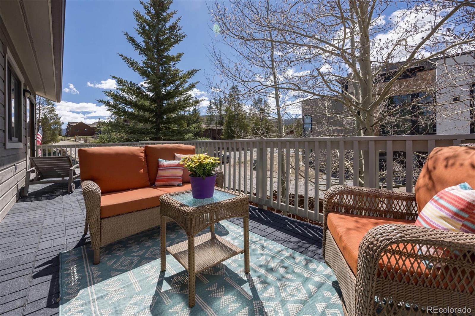 MLS Image #19 for 311 s 3rd avenue,frisco, Colorado